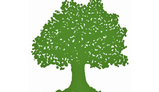 धनकुटामा सुरु भयो मतगणना