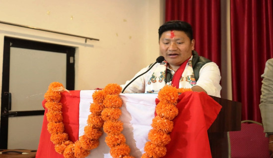 पाल्पा–१ मा कांग्रेसको अग्रता