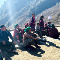 अज्ञात समूहद्वारा चार रोपनीको टमाटर उखेलेर नष्ट