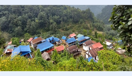 अज्ञात समूहद्वारा चार रोपनीको टमाटर उखेलेर नष्ट