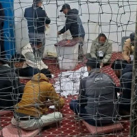 स्याङ्जा – १ मा रास्वपाका डा. धनन्जय रेग्मी विजयी