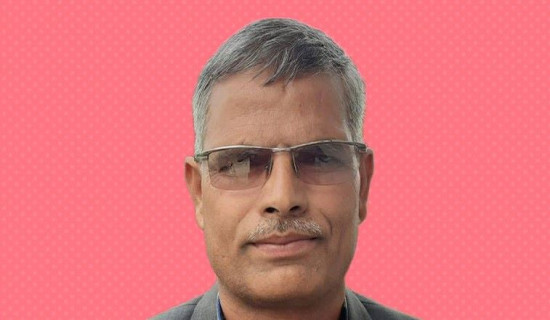 नवलपुर-२ मा रास्वपाका खनाल निर्वाचित