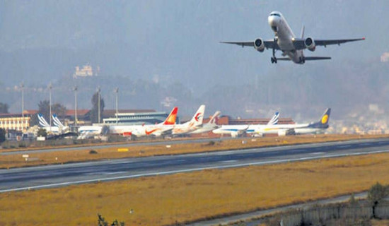 पिङको आनन्द