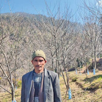 सल्यानमा नेकपाका रमेश मल्ल विजयी