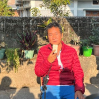 महिला सहभागिता बढ्दै