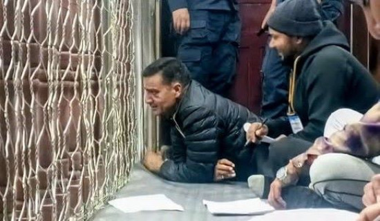 बाजुरामा नेपाली कांग्रेसका गिरी विजयी