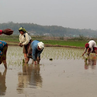 अनुदान दुरुपयोग गर्नेको अध्ययन हुने