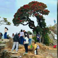 दृष्टिविहीन टी-२० विश्वकप क्रिकेट : नेपालले दक्षिण अफ्रिकालाई हरायो