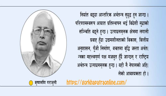 उत्पादनमुखी नीति