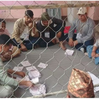 मिर्गौला प्रत्यारोपित आत्मनिर्भर