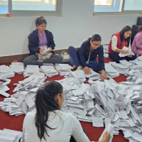 मिर्गौला प्रत्यारोपित आत्मनिर्भर