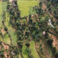 दाङमा समानुपातिकमा रास्वपा पहिलो र कांग्रेस दोस्रो