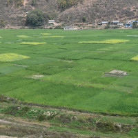 ‘सिप अर्थतन्त्र’ को आधार