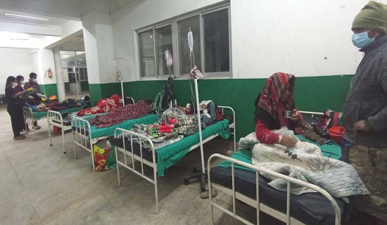 यस्तो छ आजका लागि कृषिउपजको थोक मूल्य