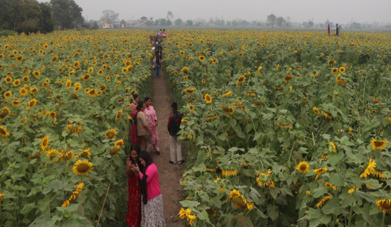 शुल्क अन्योलले रोकिए परीक्षा फाराम