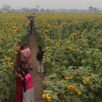 इजरायल जान तीन हजार ४६१ आवेदन स्वीकृत