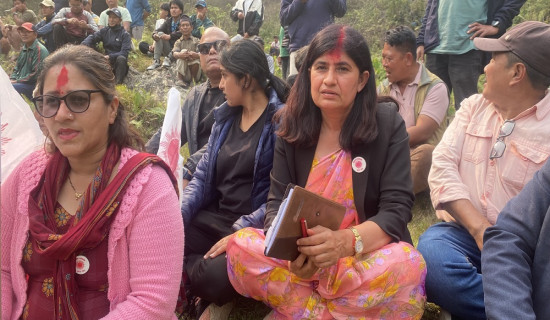 तनहुँमा पूर्वमन्त्री न्यौपानेसहित २३ उम्मेदवारको जमानत जफत