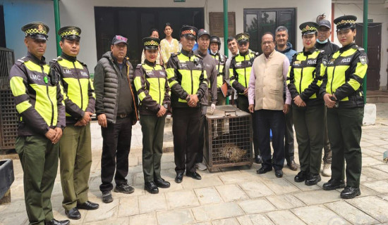 दसैँले आपसी सहयोग, मेलमिलाप र समुदायबिच एकताको भावना जागृत गर्न मद्दत पुग्नेछ : सभामुख घिमिरे
