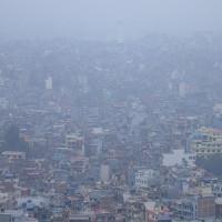 फुल्यो चेरी, बढ्यो सौन्दर्य (फोटो फिचर)