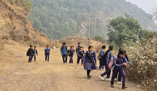 निर्वाचनको परिणाम चैतको पहिलो साता राष्ट्रपतिसमक्ष पेस गरिने