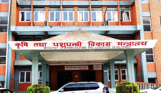 आत्मनिर्भरताका लागि कार्यक्रम तयारी
