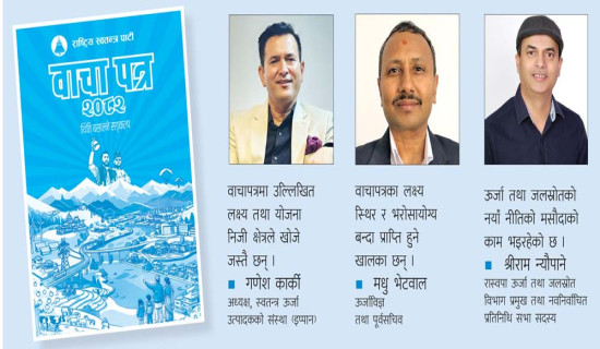 ऊर्जा विकासको गृहकार्य थाल्न सुझाव