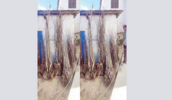 पुल नहुँदा जोखिम मोलेर खोला तर्न बाध्य