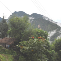 परामर्श नहुँदा विषादीले ढाकिन्छ तरकारी