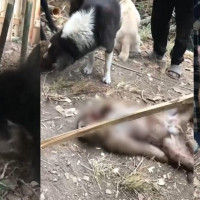 विकास आयोजना अगाडि बढ्न नसक्दा मतदातामा निराशा