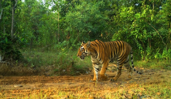 लोकसेवा तयारी विशेष : वस्तुगत प्रश्नोत्तर