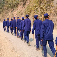 यस वर्ष सिरहामा आँपको उत्पादन बढ्ने अनुमान