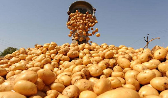 नवजात शिशुको स्वास्थ्य परीक्षण किन गर्ने ?