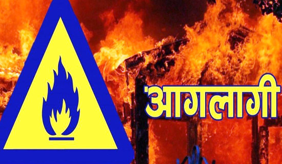 स्विट्जरल्यान्डको बसमा आगलागी हुँदा ६ जनाको मृत्यु