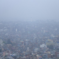 खैरसिं चेपाङ :  १०४ धार्नी तरुल बेचेर  एकै पटक २० हजार आम्दानी