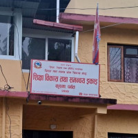 इलाममा समानुपातिकतर्फ श्रम संस्कृति पार्टी पहिलो