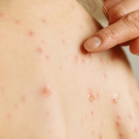 दृढ अठोट र ऊर्जासहित आचरणशील र नेतृत्वको खाँचो छ : राष्ट्रपति