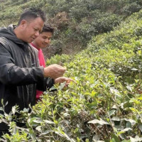 नेपालमा पनि टी–२० विश्वकप ट्रफी टुर हुने