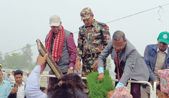 ‘श्रम र लागत घटाउन कृषिमा यान्त्रिकीकरण’