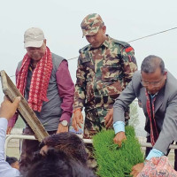 प्रमुख प्रशासकीय अधिकृत यथाशीघ्र पठाउन माग