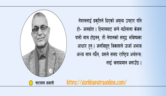 जलस्रोत उपयोगको अवस्था