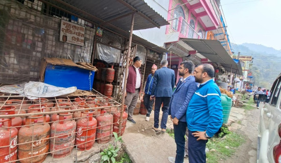 गाँजा विधेयकः गण्डकीमा यसरी गर्न पाइने छ गाँजा खेती