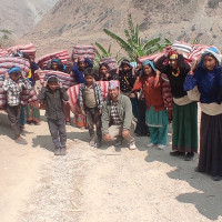 स्वास्थ्यमन्त्री डा. शर्माद्वारा महाशाखा प्रमुख हेरफेर