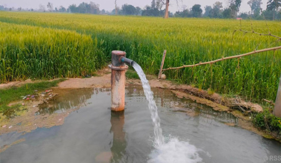 विरशाली पन्त पुरस्कारबाट मेघराज पाण्डेय पुरस्कृत