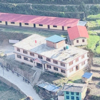 बढ्दै मिर्गौला बिरामी