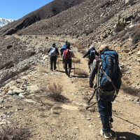 ‘कृषकलाई मौसमले ठग्दो रहेछ’