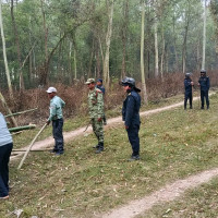 कमजोर पटकथा, उत्कृष्ट अभिनय