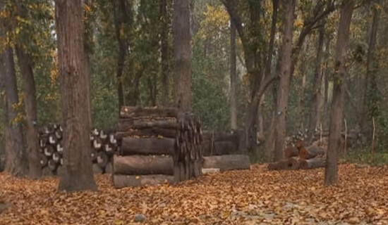 १०० वर्ष अघिको गोर्खापत्र