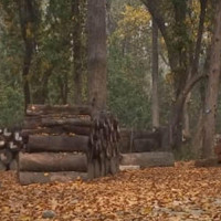 ‘धर्ती आकाश’ सार्वजनिक