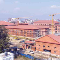 झापामा रुखले किचेर किशोरीको मृत्यु