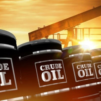 कार्बन व्यापार : विषयगत प्रश्नोत्तर